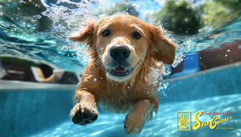 Comfort's Tips to Hosting Summer Parties on Florida's Treasure Coast