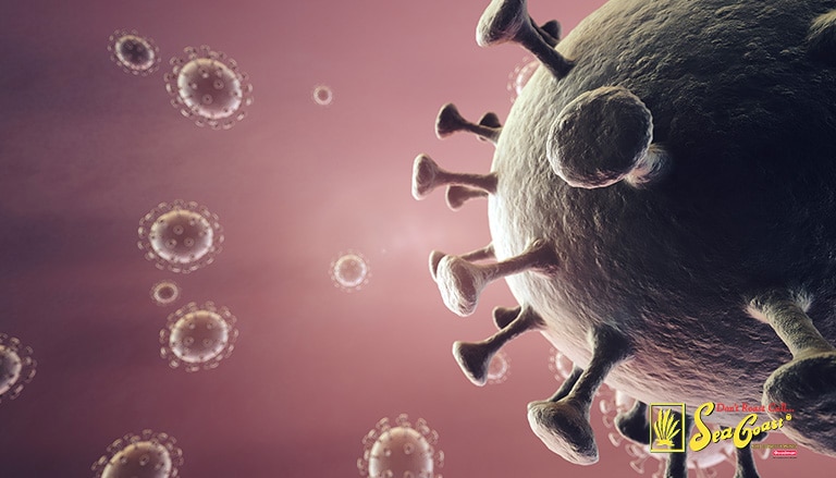 an illustration of bacteria